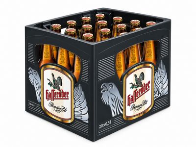 Hasseröder Premium Pils Bierkasten 20 × 0,5 l – 4,9 % vol.