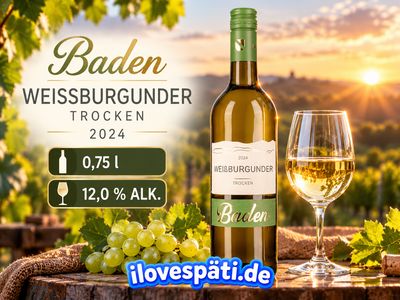 Grauburgunder Baden trocken 2025 – Deutscher Qualitätswein Weißwein 0,75 l – 11,5 % vol. Grauburgunder Baden trocken 2025 – Deutscher Qualitätswein Weißwein 0,75 l – 11,5 % vol.