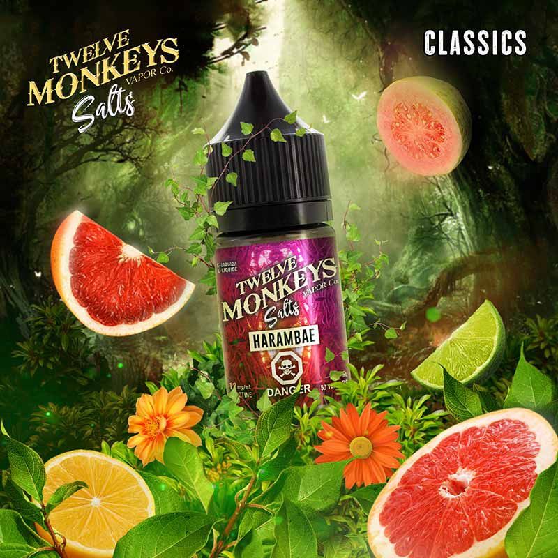 TWELVE MONKEYS NIC SALT 30ML (Excise AB Tax Included)