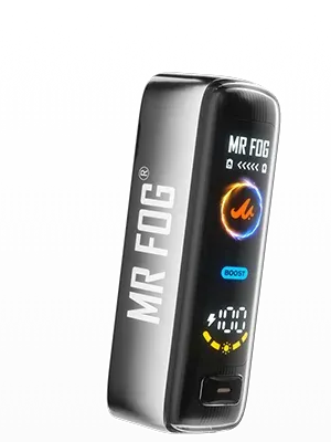 Mr Fog Switch Battery