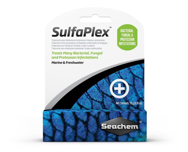 Seachem Laboratories Sulfaplex Antibiotic and Anti-fungal Medication