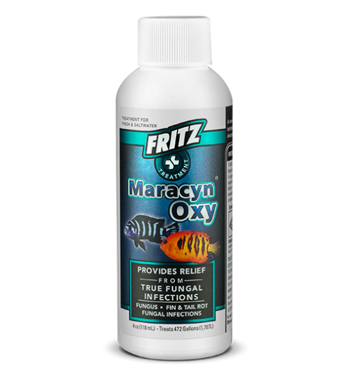 Mardel Maracyn Oxy Antifungal Medication 4oz