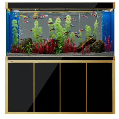Aqua Dream 250 Gallon Tempered Glass Aquarium Black and Gold
