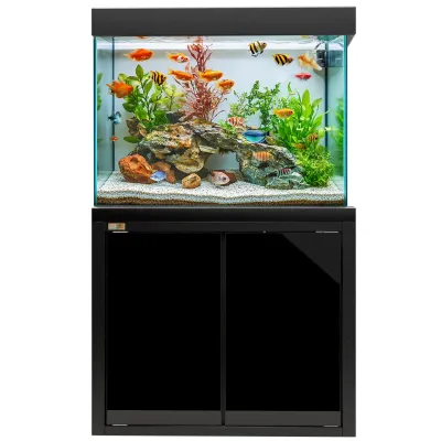 Aqua Dream 50 Gallon Tempered Glass Aquarium Black
