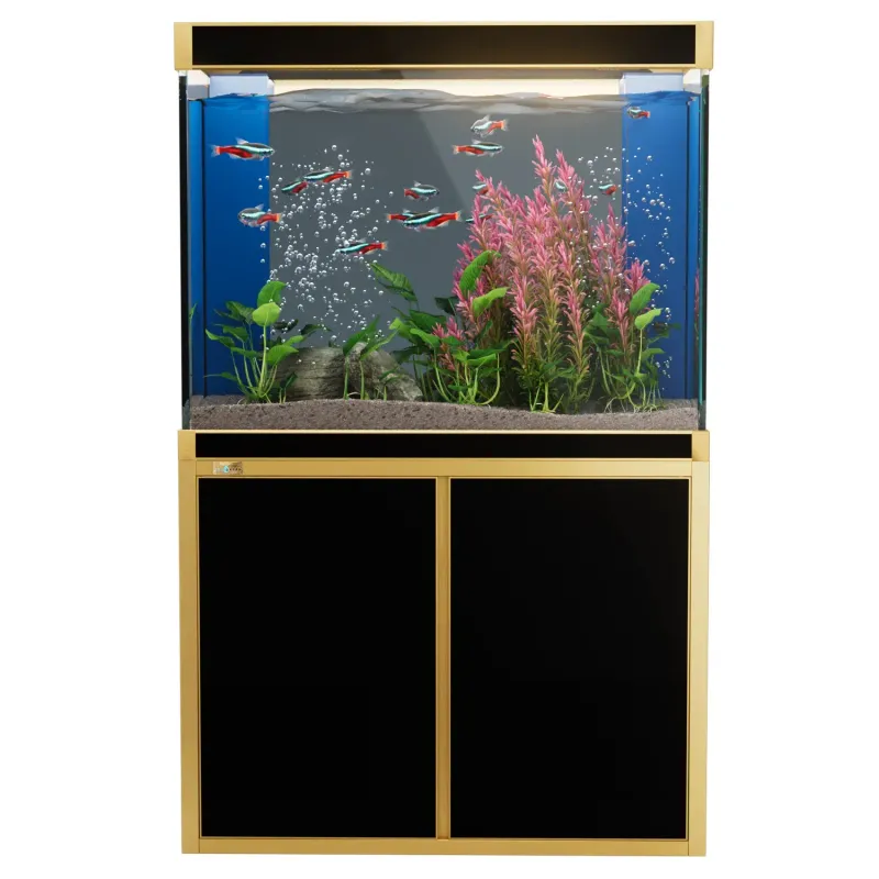 Aqua Dream 100 Gallon Tempered Glass Aquarium Black and Gold