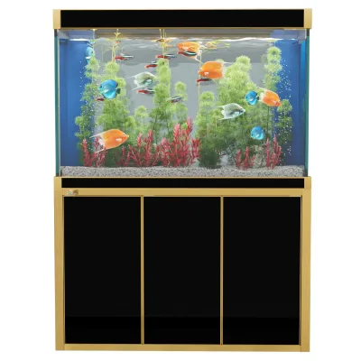 Aqua Dream 135 Gallon Tempered Glass Aquarium Black With Gold