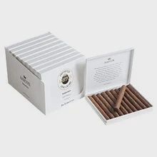 Ashton | Senoritas | (10pk)