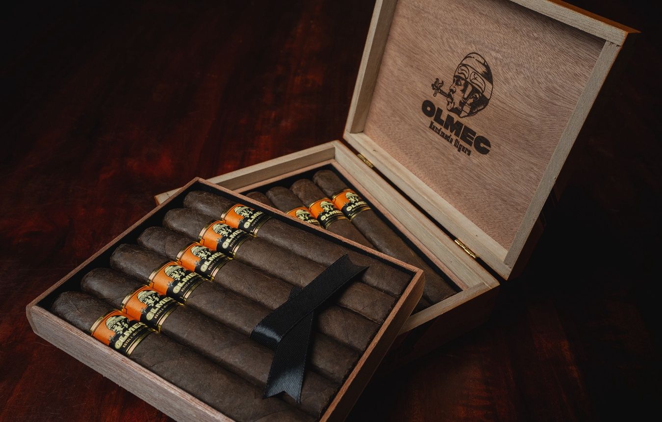 Foundation Olmec Maduro Robusto