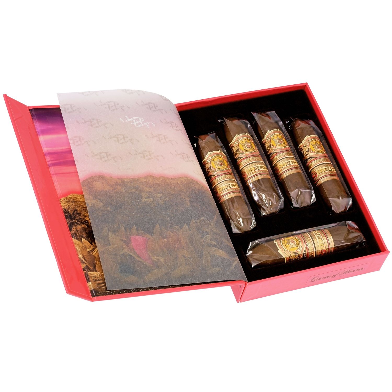 Arturo Fuente | Rare Pink | Queen of Hearts | (Box/5)