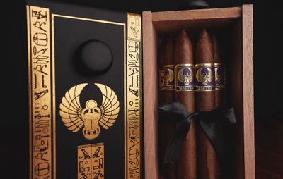 Foundation | Highclere Castle | Senetjer