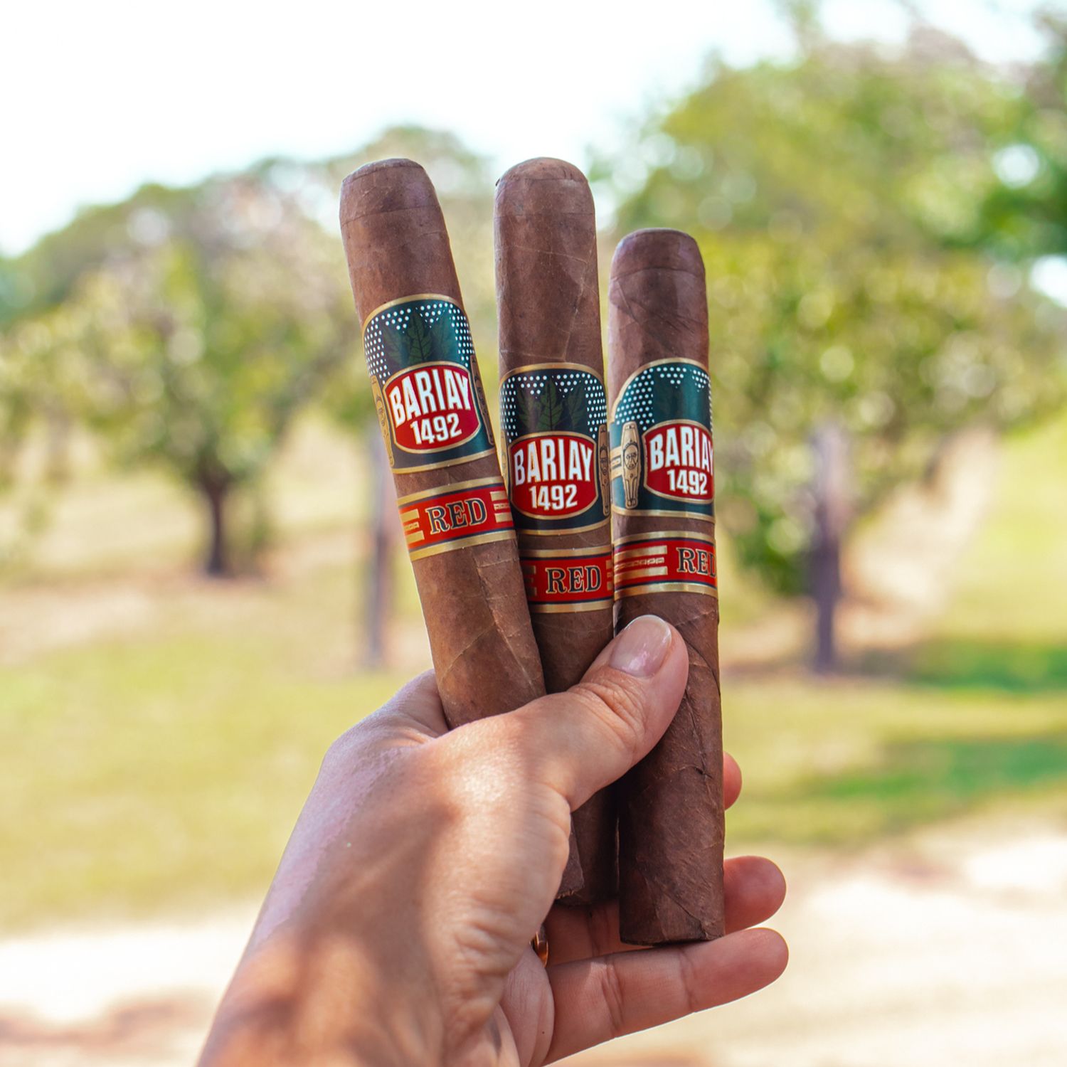 Bariay 1492 | Red Label | Gordo