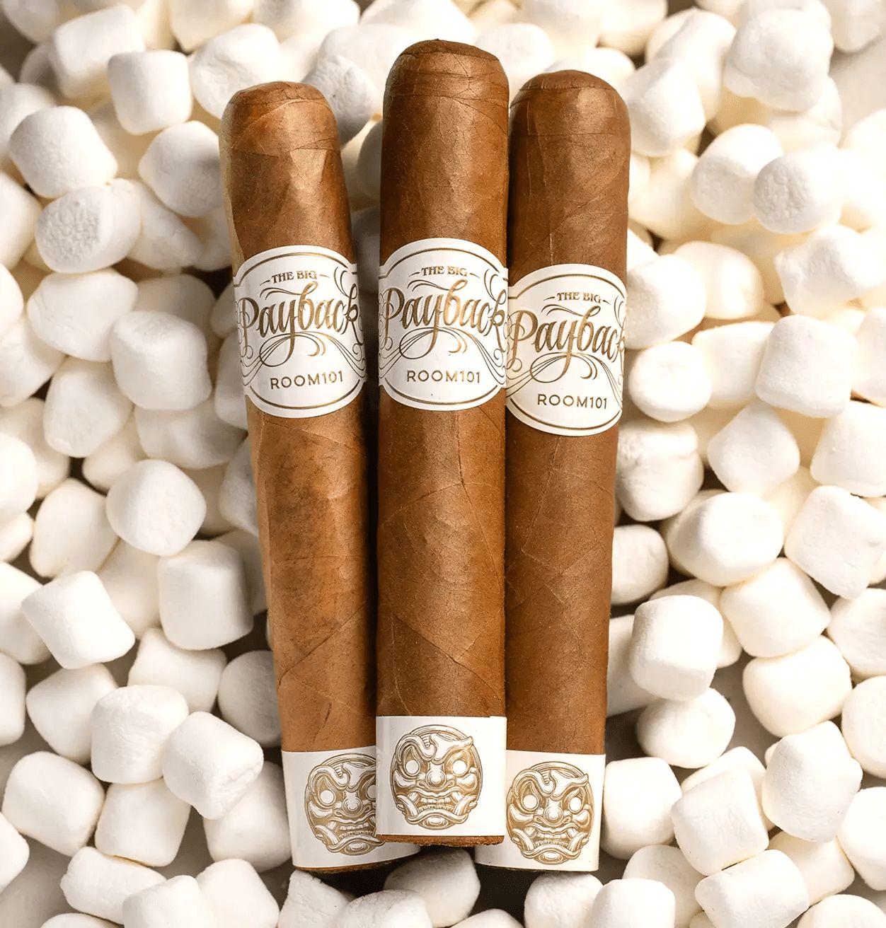Room 101 | Payback | Connecticut | Robusto