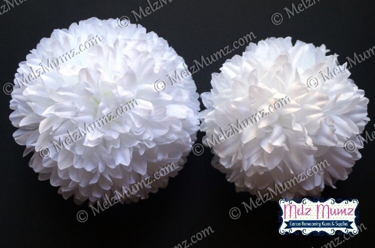 White Mum Flowers