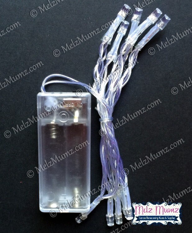 10 LED Lights