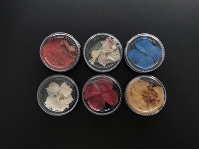 Clearance Sale - NA010 - Dry Flower 6 pots/ Set Clearance Sale - NA010 - Dry Flower 6 pots/ Set