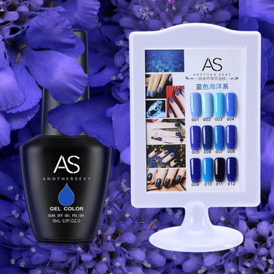 Crazy Promotion - AS 15ml Gel Polish 12 Colours/Set R350 - Blue Set