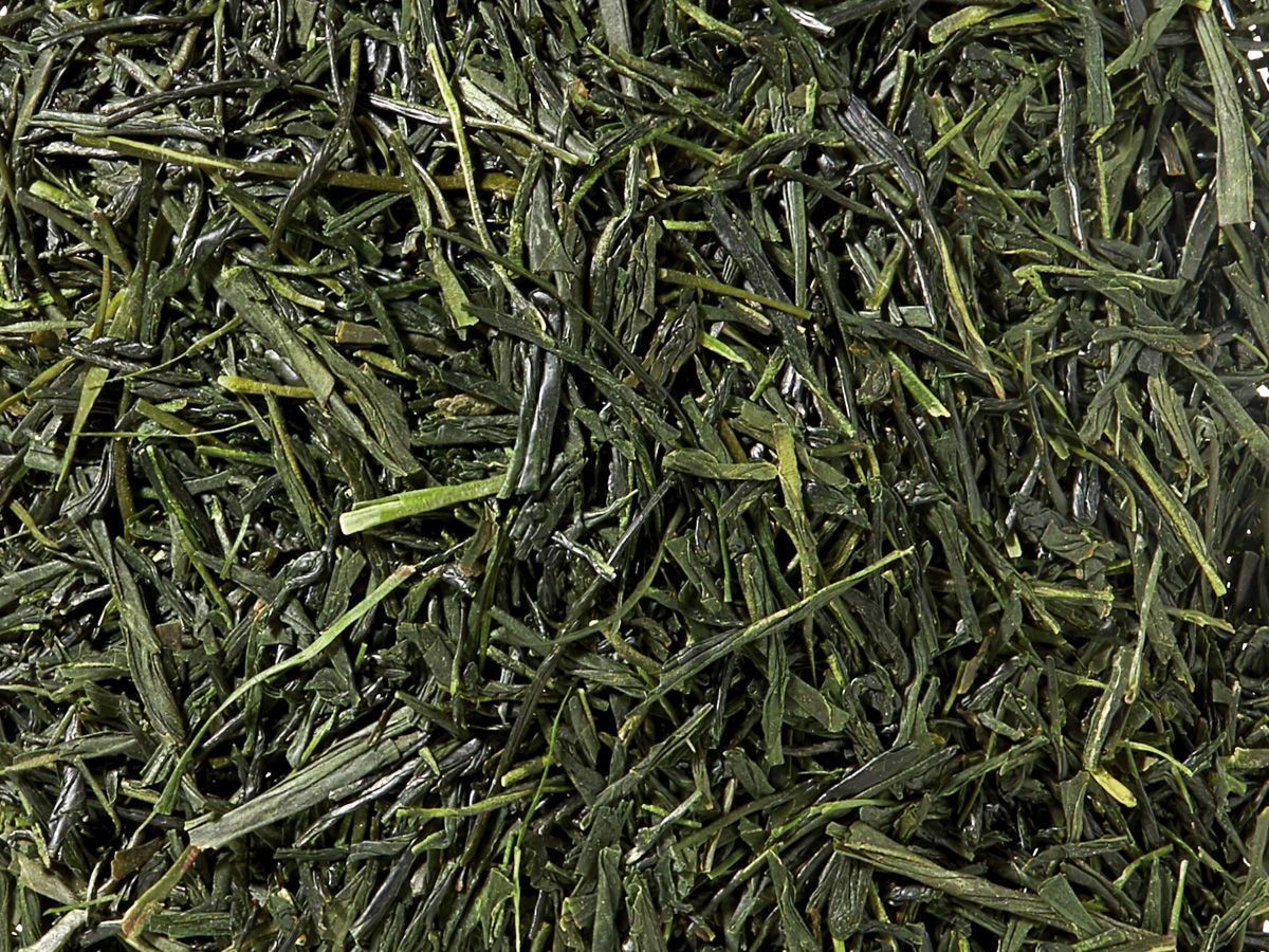 Sencha Fuji
