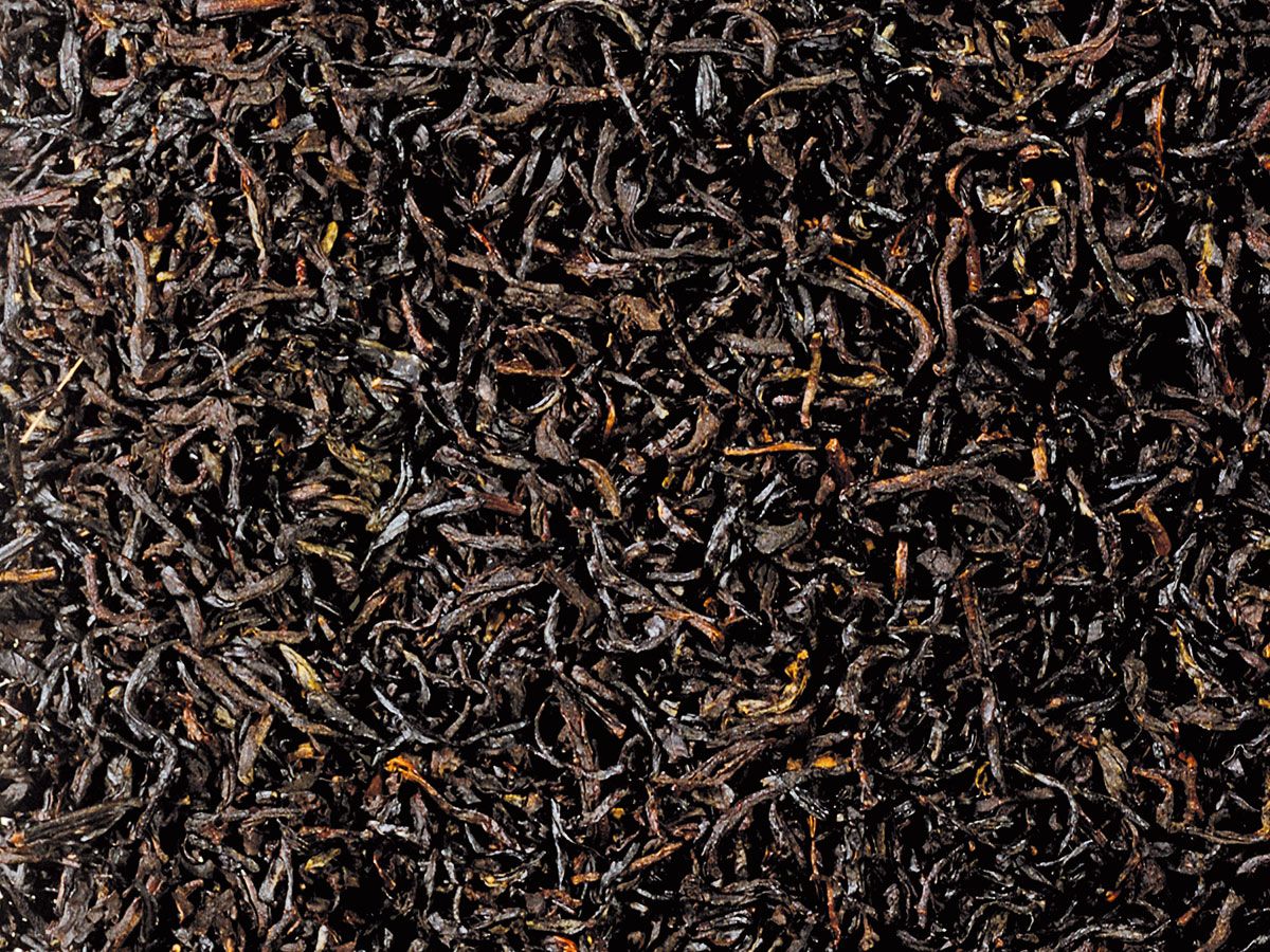 Earl Grey - Excelsior