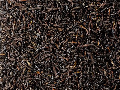 Earl Grey - Excelsior