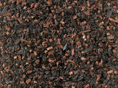 Honeybush Puur - BIO