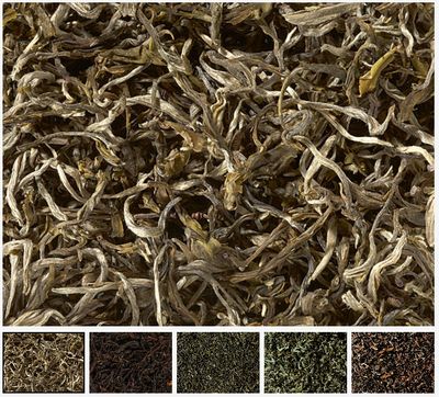 Theepakket - Blad en Bloesem Premium