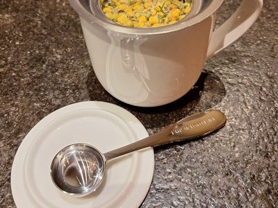 Schepje RVS - One cup of perfect tea