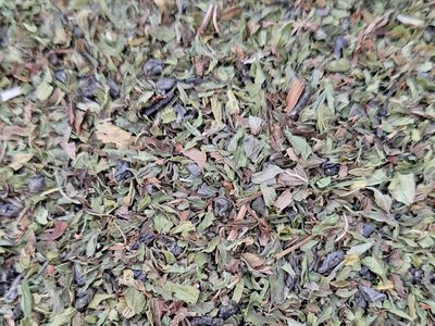 Marokkaanse Muntthee