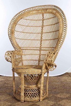 Peacock Chair