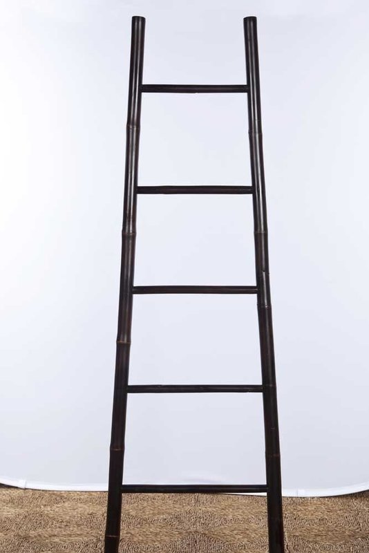 Bamboo Ladder