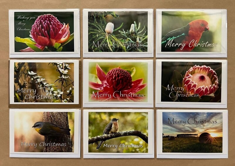 Christmas Cards