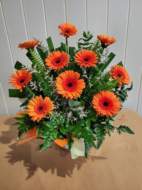 Mini Gerbera Arrangement in Bucket