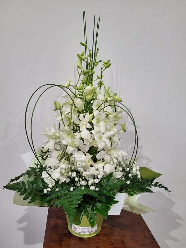 Orchid Arrangement in Bucket