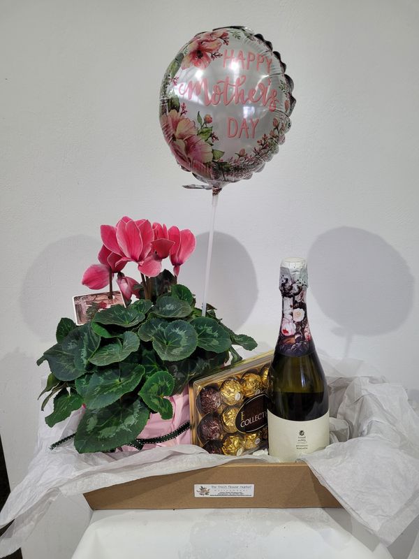 Mother's Day Cyclamen Hamper