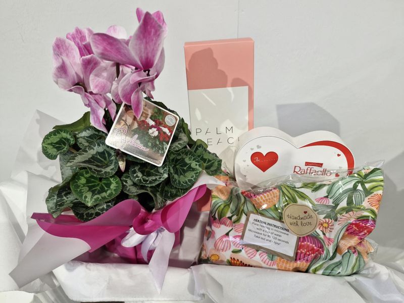 Plant Lover - Hamper Pack