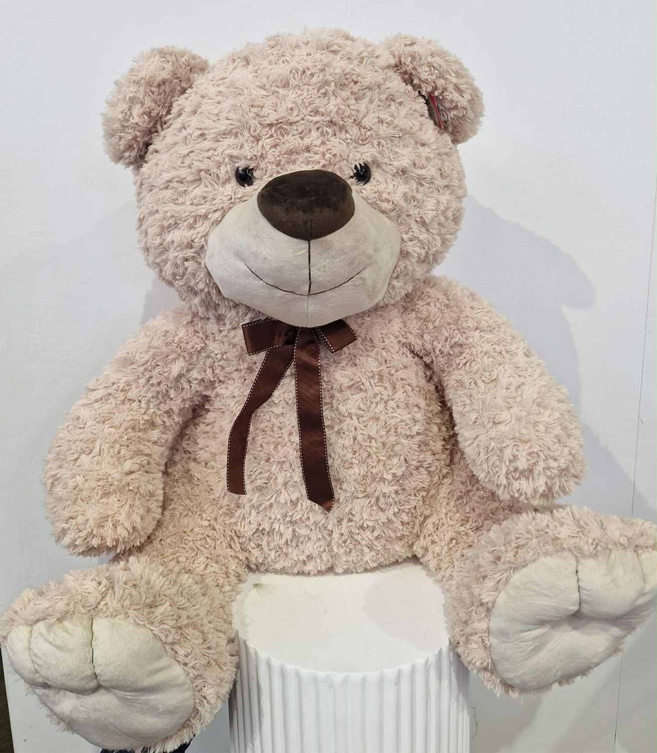 Big Bear - What says I love you more than a giant Teddy? ❤️