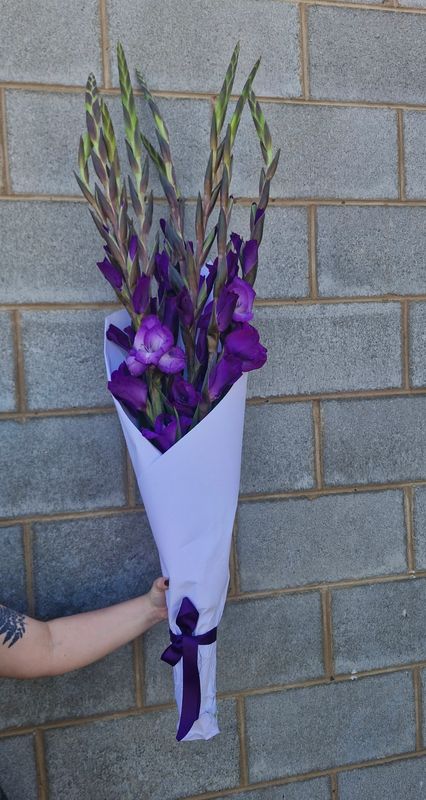 Wrapped Gladioli