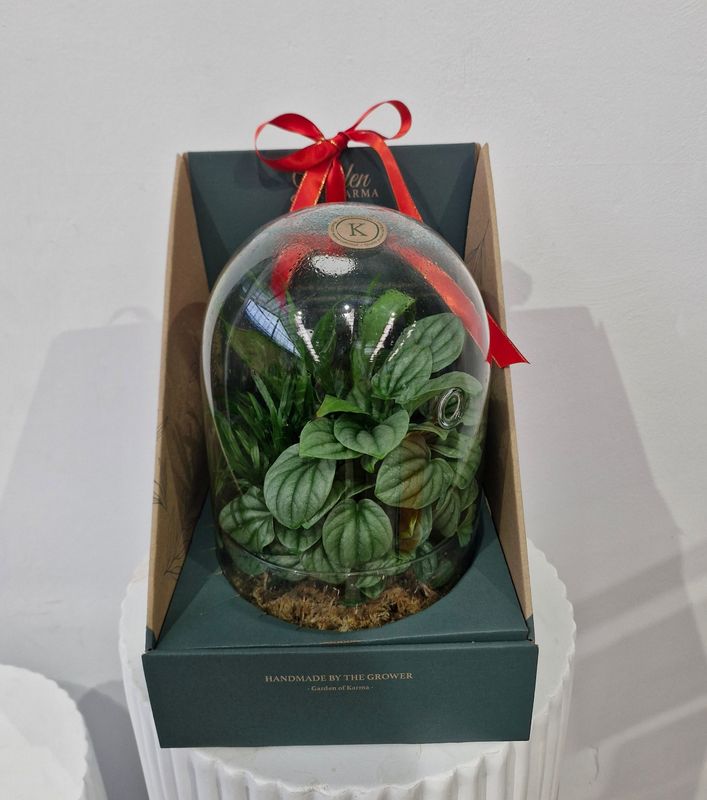 Garden of Karma Glass Terrarium