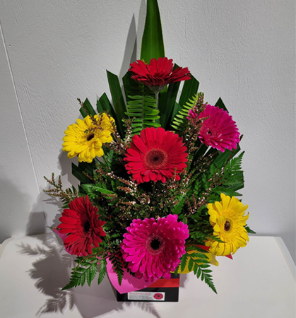 Front Facing Mixed Gerbera Arrangement