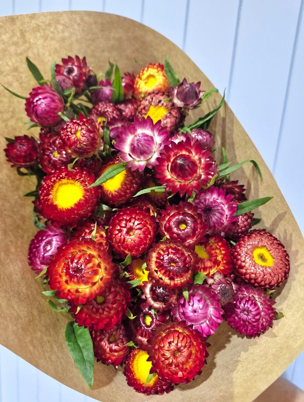 Strawflower Bouquet - Fresh Everlasting