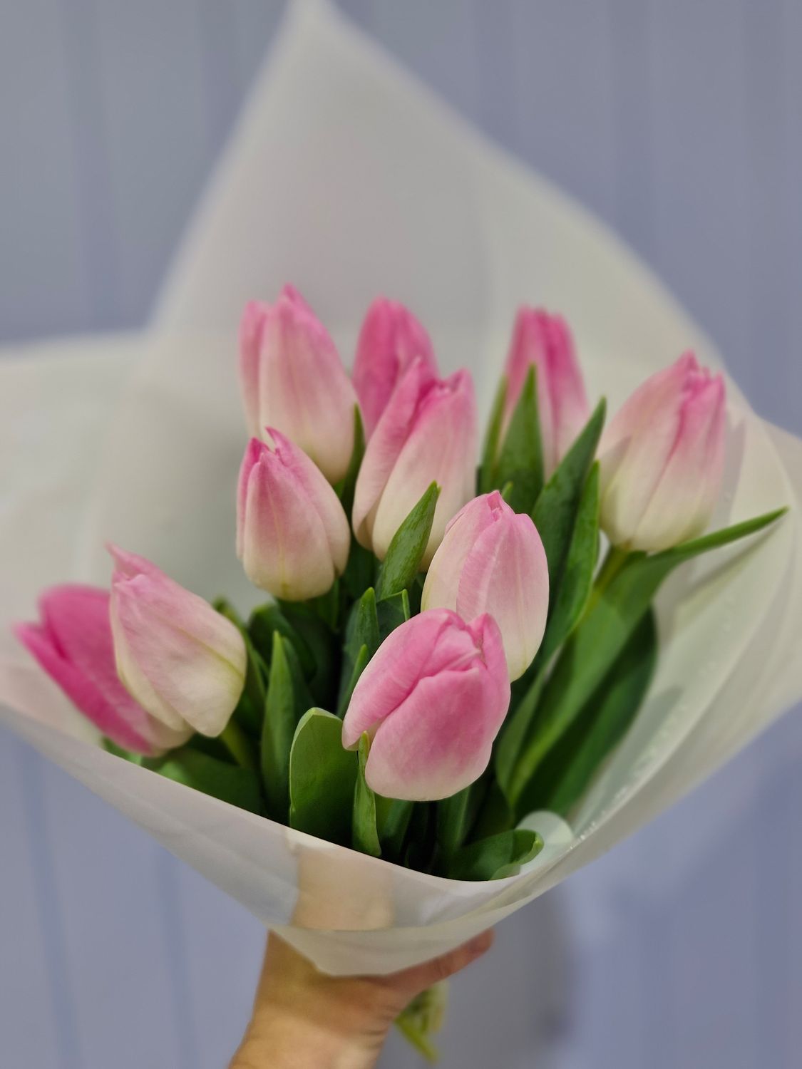 Tulip Bunch or Two