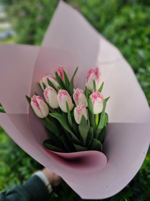 Tulip Bunch or Two