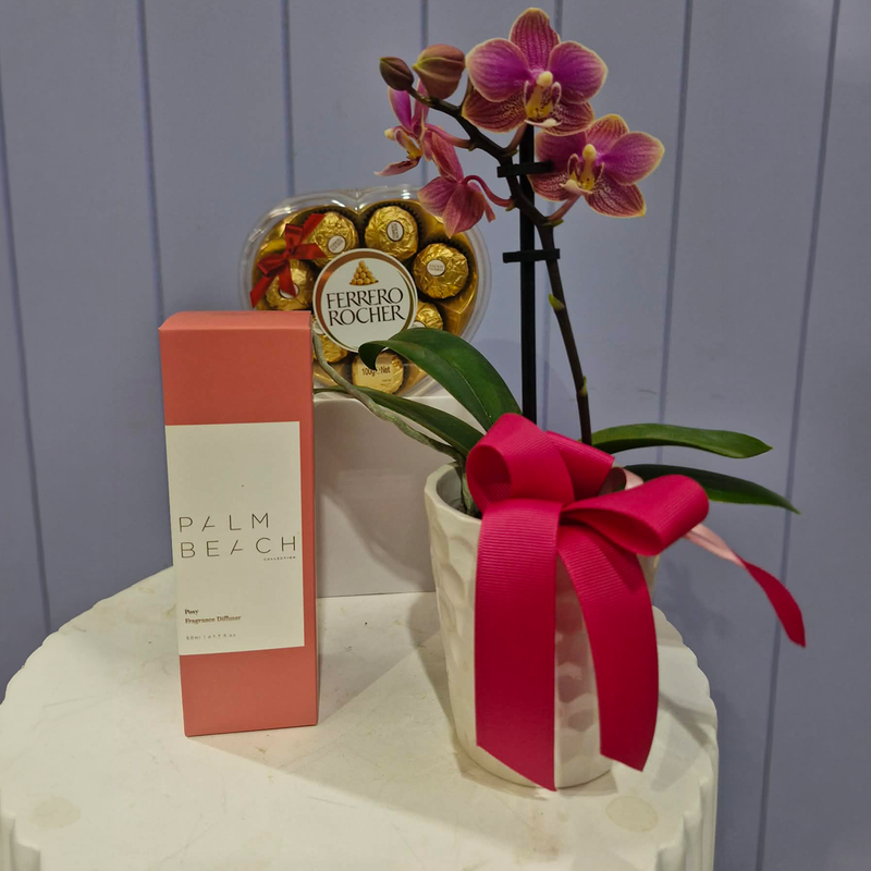 Sweet Little Love - Hamper Pack