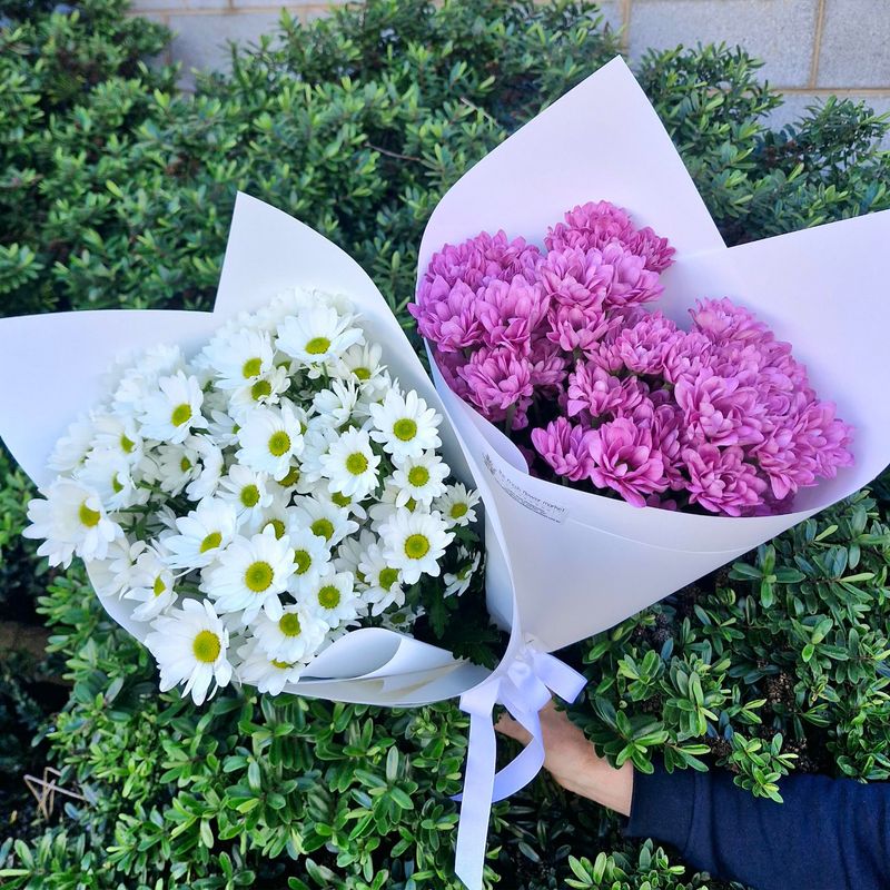 Chrysanthemums