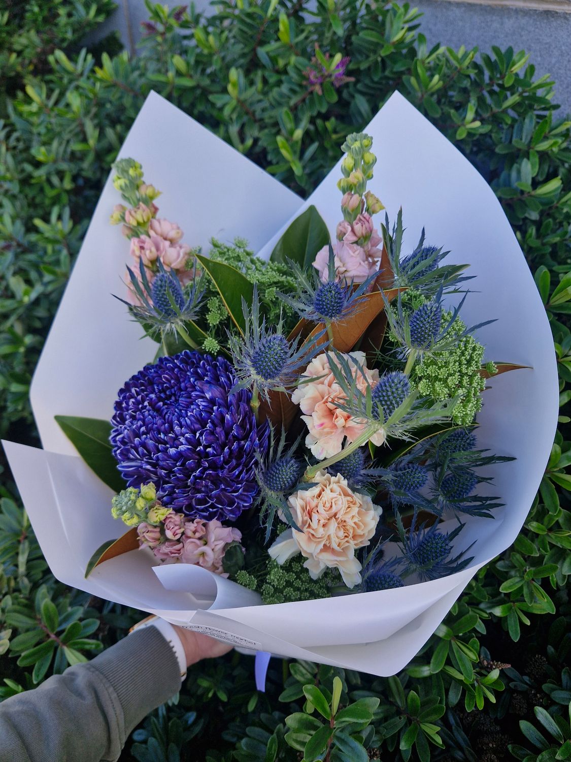 Bouquet of the Week