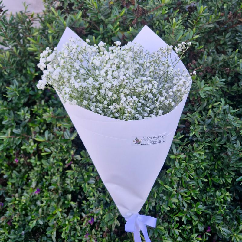 Gypsophila (Baby’s Breath) Bunches