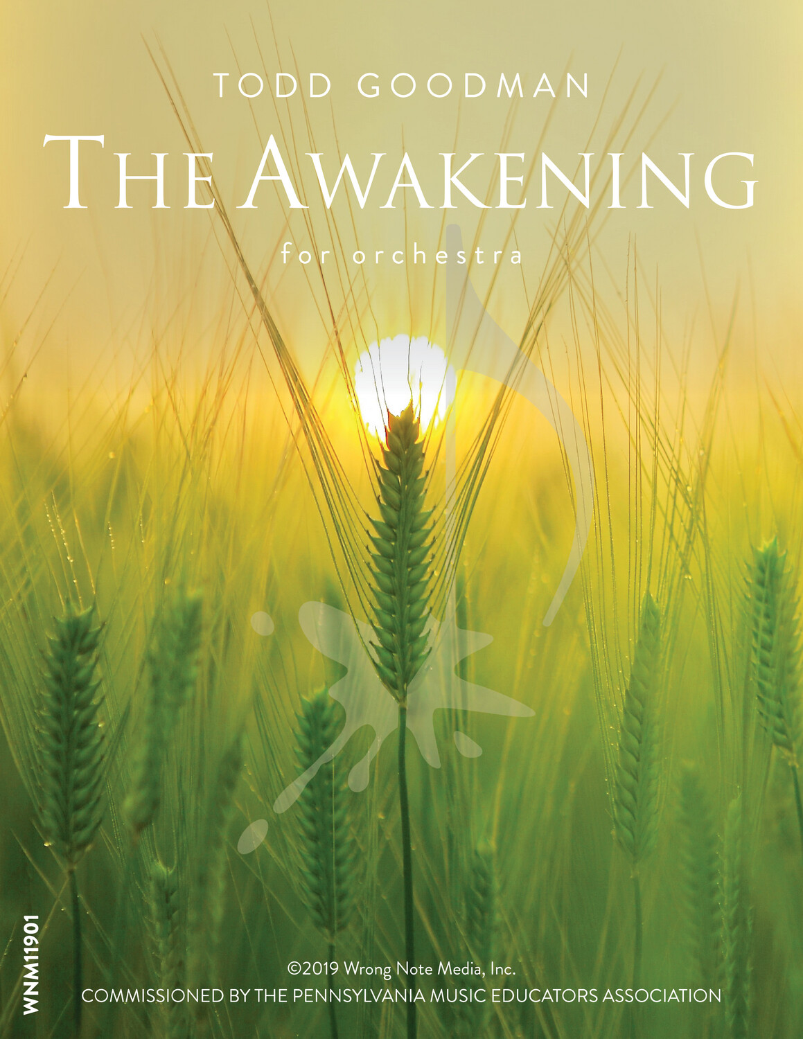 THE AWAKENING - orchestra SCORE, by Todd Goodman