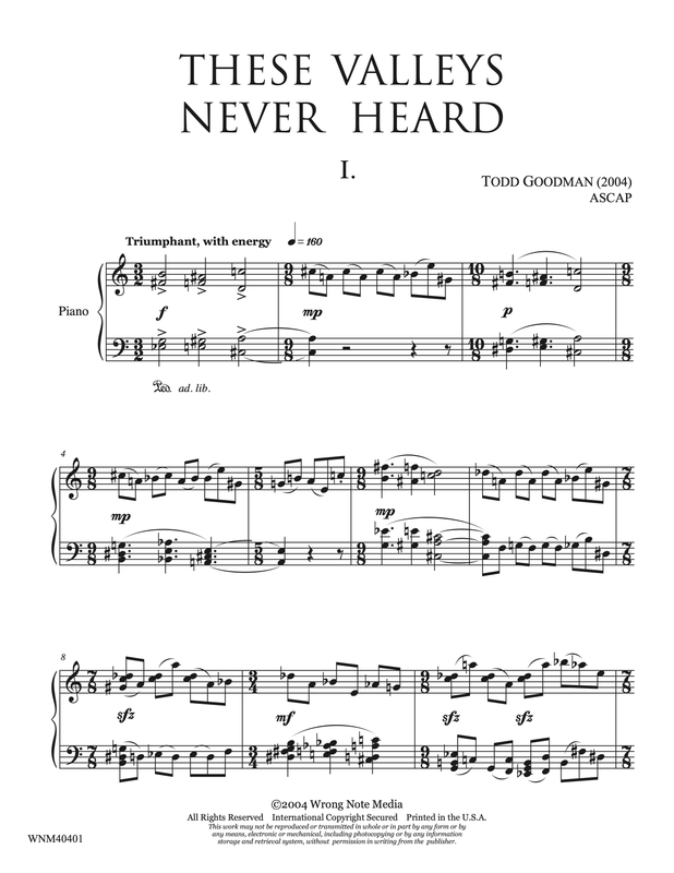 THESE VALLEYS NEVER HEARD by Todd Goodman