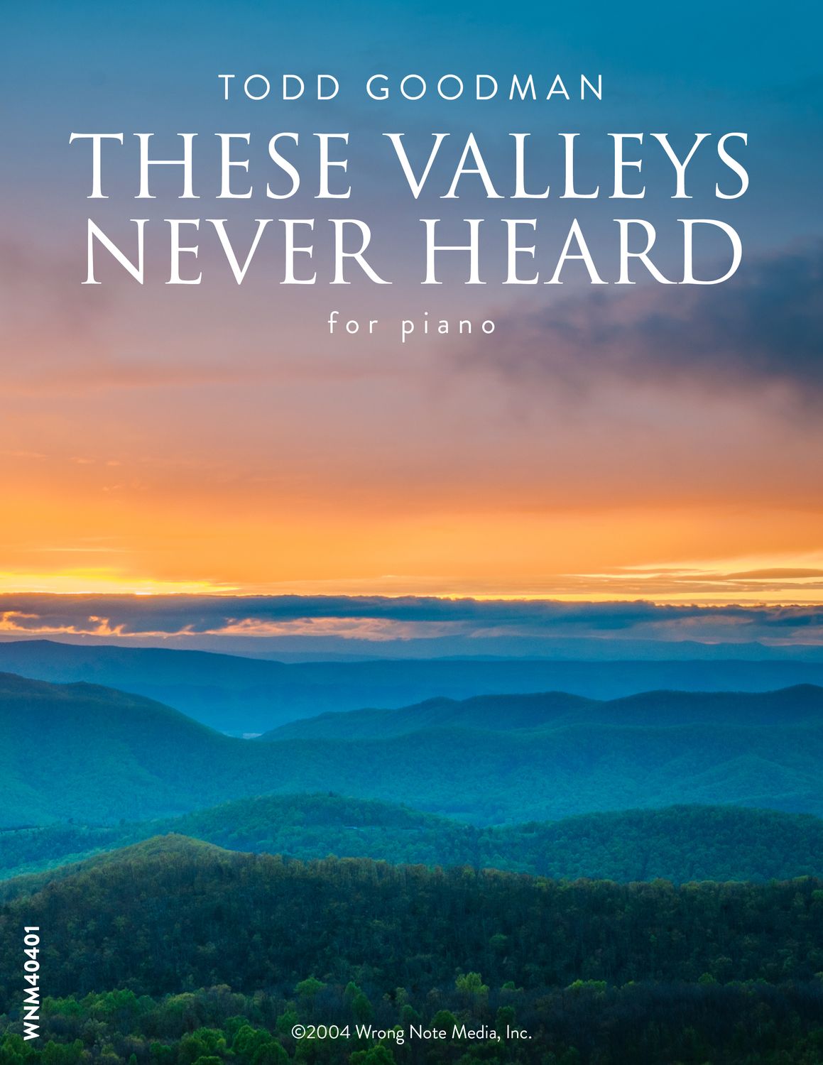 THESE VALLEYS NEVER HEARD by Todd Goodman