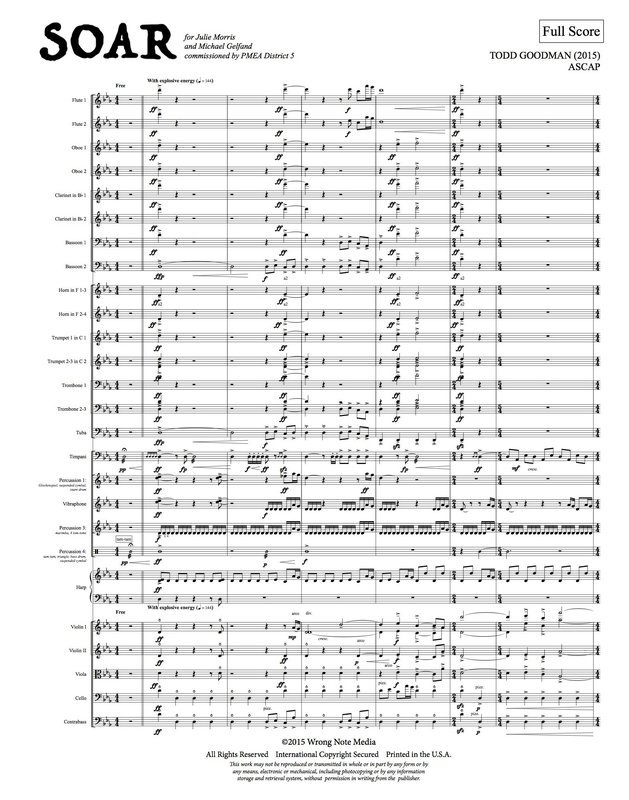 Soar! - orchestra SCORE, by Todd Goodman