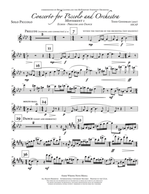 PICCOLO CONCERTO by Todd Goodman